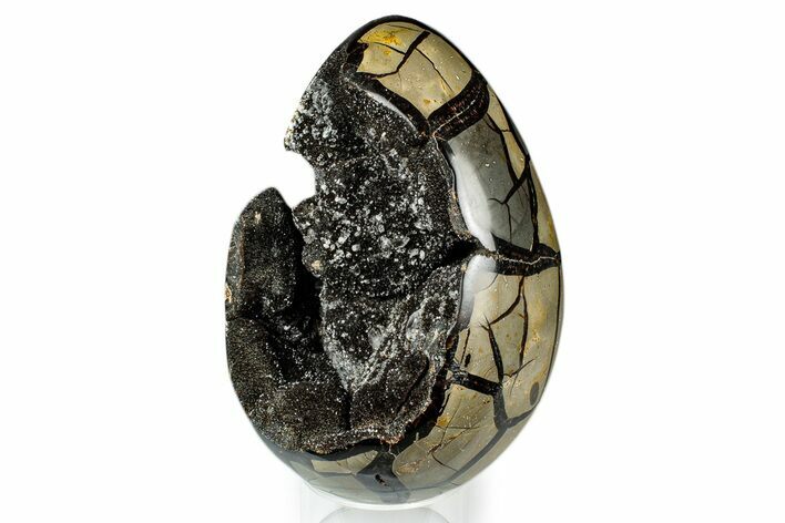 Septarian Dragon Egg Geode - Sparkly Black Crystals #339342